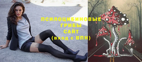 ПСИЛОЦИБИНОВЫЕ ГРИБЫ Алексеевка