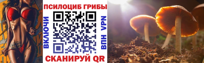 Псилоцибиновые грибы мицелий  даркнет сайт  KRAKEN   Тетюши 